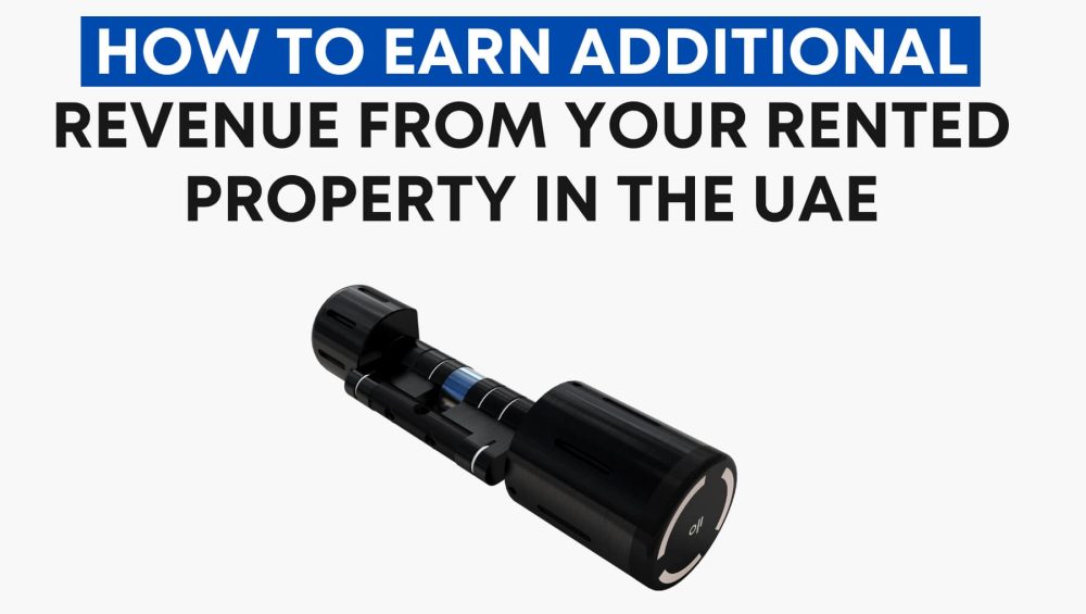 How to Earn Additional Revenue from Your Rented Property in the UAE